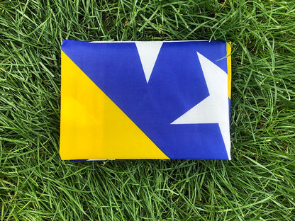 Bosnia and Herzegovina Flag