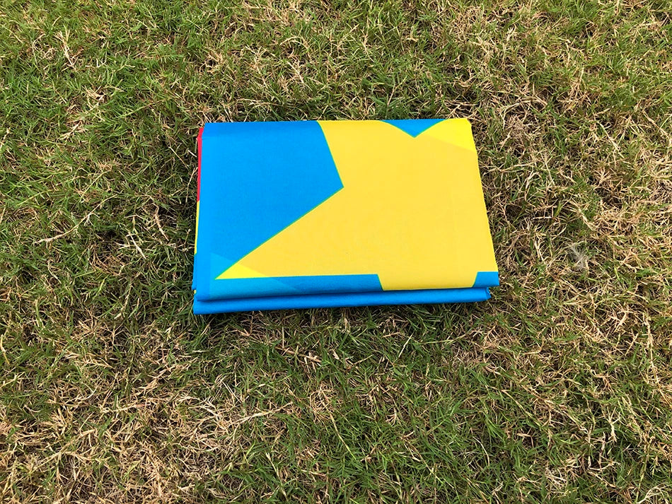 Democratic Republic of the Congo Flag