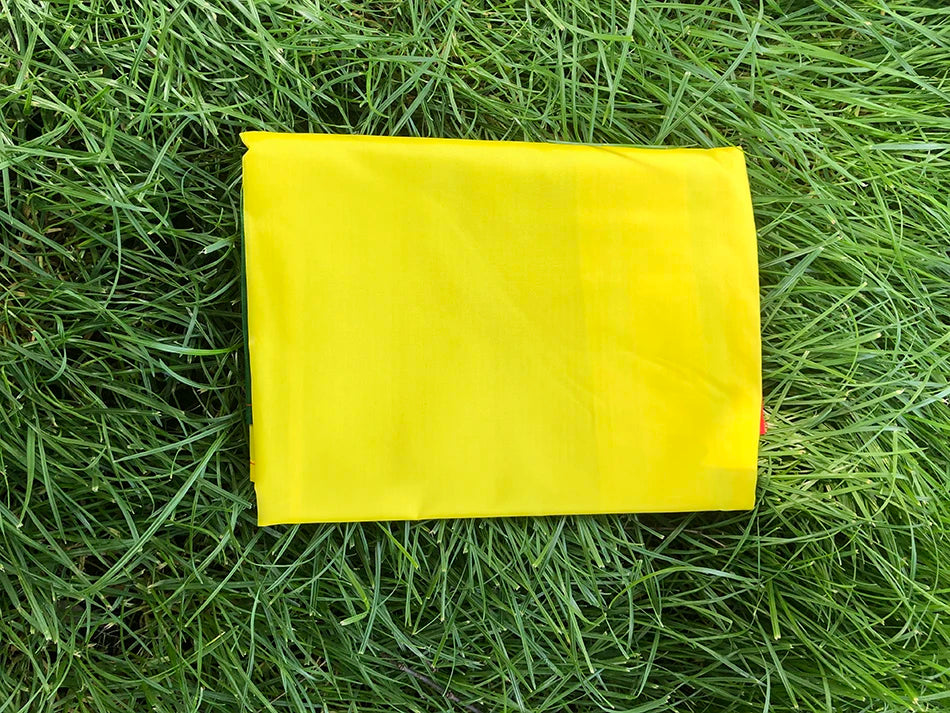 Benin Flag