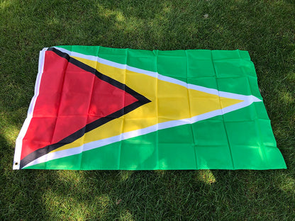 Guyana Flag