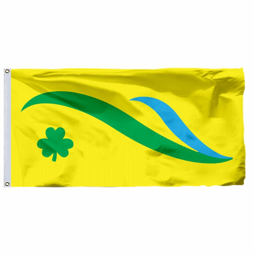 Ireland Provincial and City Flags