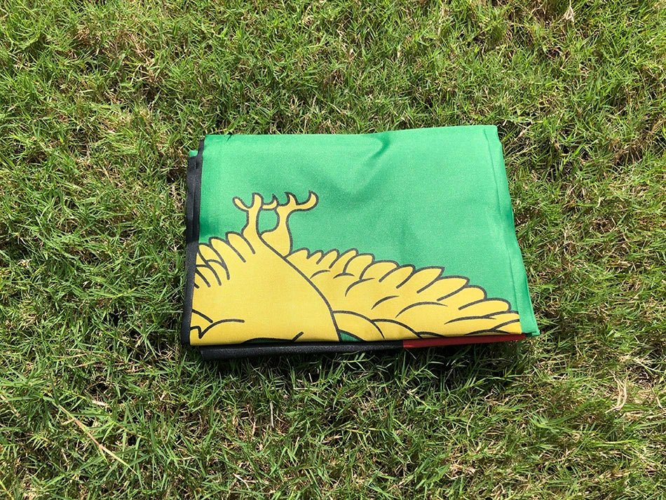 Zambia Flag