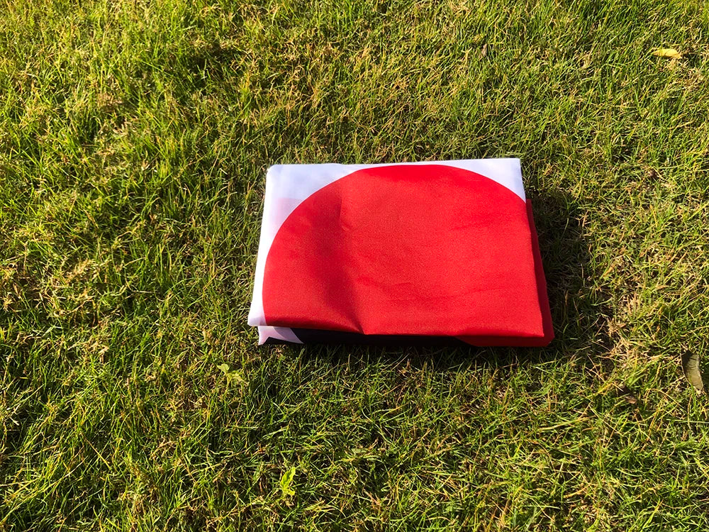 Ohio Flag